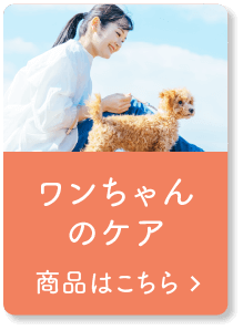 ワンちゃんのケア